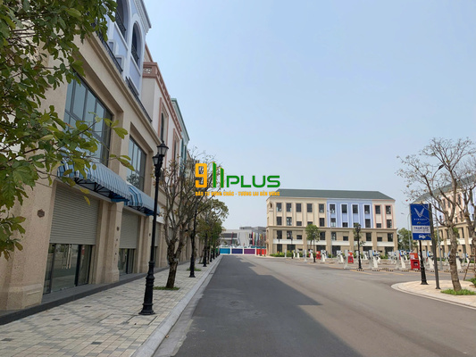 Bán cắt lỗ biệt thự đơn lập Cọ Xanh 13 - DT 225m² - Vinhomes Ocean Park 2