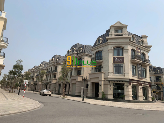 Bán biệt thự song lập đường Đại Dương - khu kinh đô 6 - DT 172m² - Vinhomes Ocean Park 2