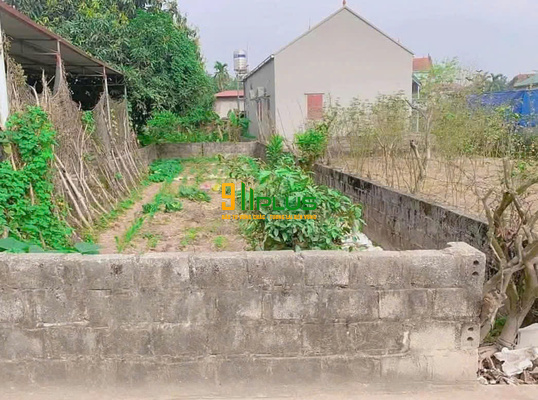 Cơ hội đầu tư – chỉ 2x Triệu/m² sở hữu ngay 102,7m² đất đẹp tại AB Quán Trạch, Liên Nghĩa, Văn Giang