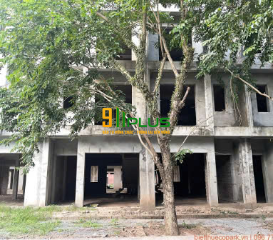 Bán liền kề dự án Vạn Tuế, xã Phụng Công, Văn Giang, Hưng Yên – giá cực rẻ để đầu tư