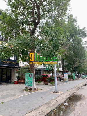 Bán nhà phố Thủy Nguyên – KĐT Ecopark – vị trí đắc địa kinh doanh đỉnh