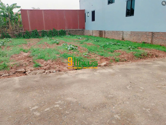 Bán lô đất siêu hot - Quán Trạch, Liên Nghĩa, Văn Giang, Hưng Yên